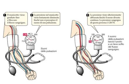 Cattura di schermata (139)